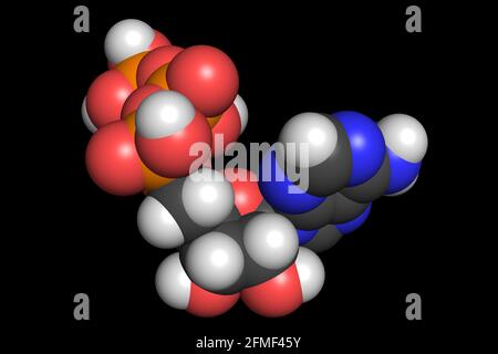La molecola ATP trifosfato di adenosina 3D rende la struttura chimica Foto Stock