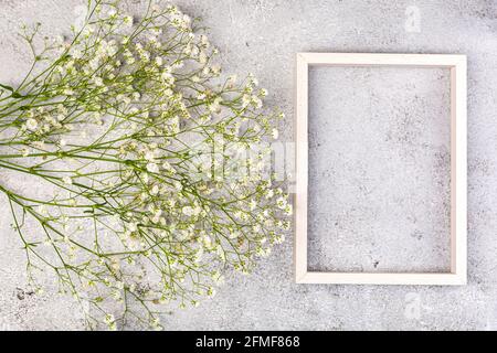 Banner creativo con fiore fresco bianco del respiro del bambino Foto Stock