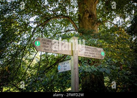 Nowton Park, Bury St Edmunds, Suffolk, Inghilterra Foto Stock