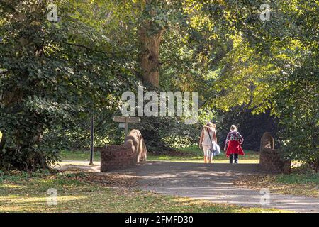 Nowton Park, Bury St Edmunds, Suffolk, Inghilterra Foto Stock