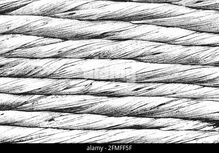 Trama di sovrapposizione in difficoltà della corda intrecciata. Sfondo grunge. Illustrazione vettoriale astratta a mezzitoni Illustrazione Vettoriale