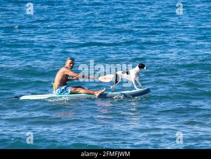 Uomo paddle boarding con cane a bordo. Paddleboarder con cane Foto Stock
