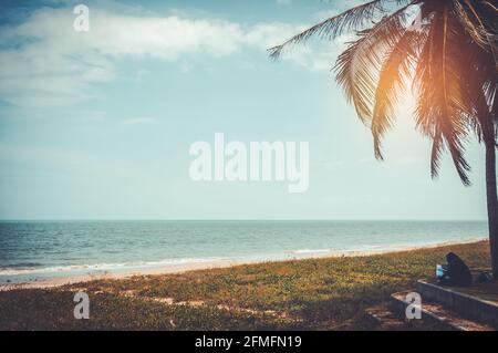 Paesaggio di spiaggia. Il cielo blu e il sole brillano dietro le palme da cocco. Serenità natura sfondo. All'aperto di giorno con luce solare su s. Foto Stock