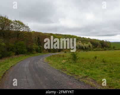 una pista di pietra grigia si snoda attraverso un albero verde fiancheggiato Campagna inglese sotto un cielo nuvoloso scuro Foto Stock