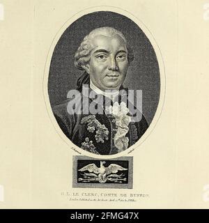 Georges-Louis Leclerc, conte de Buffon (Francia, 7 settembre 1707 – 16 aprile 1788), è stato un naturalista francese, matematico, cosmologo ed enciclopedista. Incisione su copperplate dell'Enciclopedia Londinensis OR, dizionario universale delle arti, delle scienze e della letteratura; volume IV; a cura di Wilkes, Giovanni. Pubblicato a Londra nel 1810 Foto Stock