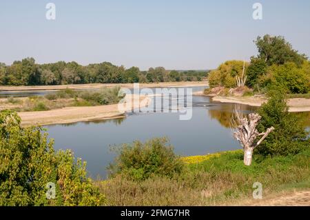 La Loire fiume e riva del fiume vicino la Charite-sur-Loire, Nievre (58), regione della Borgogna, Francia Foto Stock