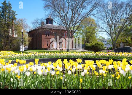 La Old Colony Historical Society di Taunton, Massachusetts, come visto in vari memoriali di guerra Foto Stock