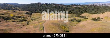 I sentieri si snodano tra le colline ricoperte di erba della East Bay, a pochi chilometri dalla baia di San Francisco, nella California settentrionale. Foto Stock