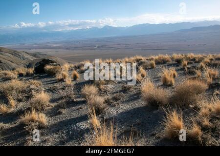 Si tratta di una strada sterrata fino alla Champion Spark Plug Mine nelle White Mountains vicino a Bishop, CA, USA, ma la vista vale la pena di essere combattuta. Foto Stock