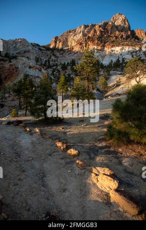 Si tratta di una strada sterrata fino alla Champion Spark Plug Mine nelle White Mountains vicino a Bishop, CA, USA, ma la vista vale la pena di essere combattuta. Foto Stock