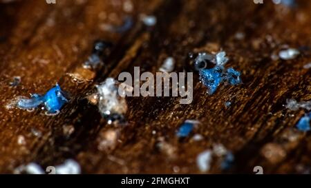 Plastica entra nel bacino di acqua e progressivamente distrutte dalle onde e sun. Le particelle di plastica si accumulano nei campi e grumi sulla superficie di acqua e in t Foto Stock