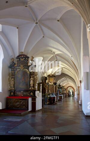 Polonia, Danzica, Oliwa, Cattedrale, voivodato Pomerania Foto Stock