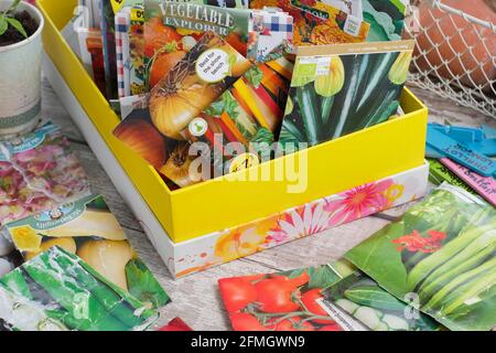 Pacchetti seme. Vegetali e semi di fiori con il loro contenitore di stoccaggio in primavera. REGNO UNITO Foto Stock