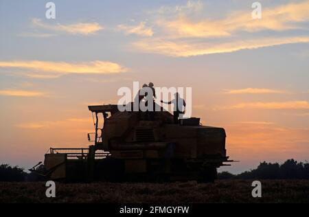 Silhouette1984 archivio vista di un agricoltore disgregato mietitrebbia bloccato in terreno agricolo campo di grano anni 80 tempo di raccolto con contadino & uomini che lavorano tardi sulla macchina per riavviare la mietitura in prima serata tramonto tramonto tramonto cielo crepuscolo in agricoltura d'archivio degli anni 80 Immagine Essex Campagna Inghilterra UK Foto Stock