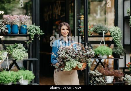 Piante ornamentali in crescita per la casa, il giardino e i bouquet Foto Stock