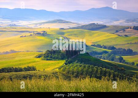 Amazing countryside dawn landscape and houses on the hills with grain fields. Olive plantation and rural scenery at sunrise in Tuscany, Italy, Europe Foto Stock