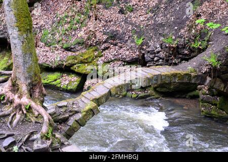 Uno stretto ponte di pietra sul fiume Spodden nella riserva naturale di Healey Dell, Rochdale, Greater Manchester, Regno Unito Foto Stock
