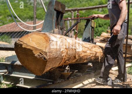 Mettendo il log sulla piattaforma mobile a segheria pronto a. tagliare in tavole industria segheria tavole legno legname e legname Foto Stock