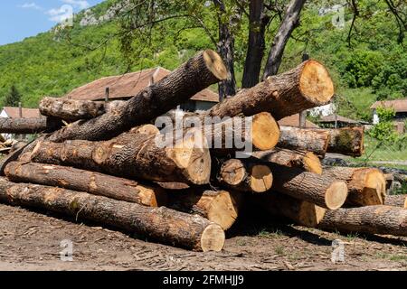 Grande pila di legna da ardere o tronchi di legno a segheria pronto da elaborare Foto Stock