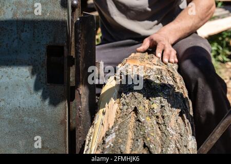 Mettendo il log sulla piattaforma mobile a segheria pronto a. tagliare in tavole industria segheria tavole legno legname e legname Foto Stock