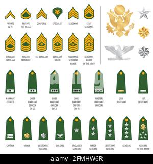 Le fila militari badges spalla, soldati dell'esercito cinghia chevron, vettore. Stemmi di grado araldico e soldato uniforme con stelle dorate A. Illustrazione Vettoriale