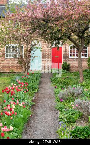 Due cottage in primavera con tulipani e fiori di ciliegio. Stratford Upon Avon, Warwickshire, Inghilterra Foto Stock