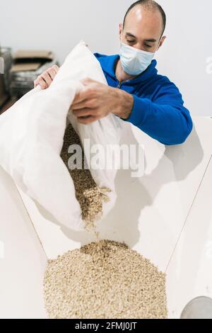 Ingegnere maschile in maschera monouso versando grano dal sacchetto in serbatoio di macinazione in fabbrica di birra Foto Stock