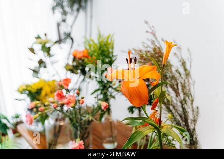Mazzo di giglio arancione brillante in fiore posto in vaso vicino fiori colorati assortiti in negozio Foto Stock