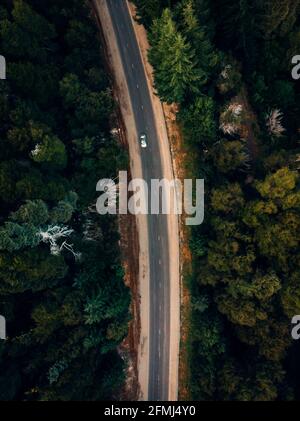 Vista dall'alto dell'auto che corre lungo la strada asfaltata circondata da alberi di conifere verdi di bosco Foto Stock