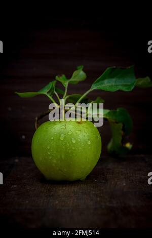 Mela verde matura intera con fogliame e acqua piccola pura gocce su sfondo nero Foto Stock