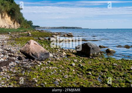 La costa del Mar Baltico a Eulenkrug vicino a Boltenhagen, Meclemburgo-Pomerania occidentale, Germania Foto Stock