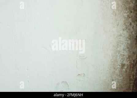 Vecchia parete bianca con stampo nero. Sfondo con spazio vuoto. Foto Stock
