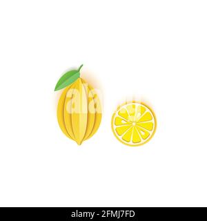 La carta viene tagliata con agrumi interi e affettati, un design eccellente per qualsiasi scopo. Estate, cibi dolci e succosi. Illustrazione 3d della scheda vettoriale Illustrazione Vettoriale