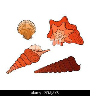Set marino. Raccolta di conchiglie diverse forme. Illustrazioni vettoriali colorate disegnate a mano. Elemento di progettazione per inviti, biglietti d'auguri, volantini Illustrazione Vettoriale