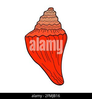 Conchiglia di colomba disegnata a mano con linea incisa. Elemento di progettazione per inviti, biglietti d'auguri, poster, striscioni, volantini e altro ancora. Illustrazione vettoriale colorata Illustrazione Vettoriale