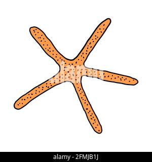 Stella disegnata a mano con linea incisa. Elemento di progettazione per inviti, biglietti d'auguri, poster, striscioni, volantini e altro ancora. Illustrazione vettoriale colorata Illustrazione Vettoriale