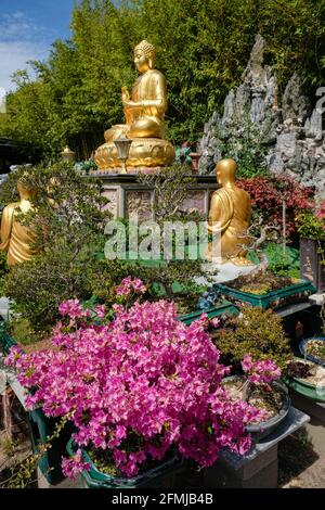 Ste Foy lès Lyon (Francia), 08 maggio 2021. Statua nel giardino del tempio buddista. Foto Stock