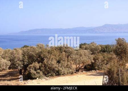 Guardando attraverso un campeggio verso Latchi e Polis e i Monti Troodos, la penisola di Akamas a Cipro. Foto Stock