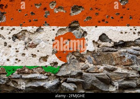 Concetto della situazione politica in Niger con una bandiera dipinta danneggiata su un muro incrinato con interi. Illustrazione 3D. Rendering 3D Foto Stock