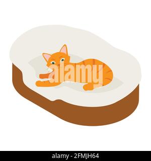Il gatto zenzero dorme nel suo morbido e accogliente cuscino del letto isolato su sfondo bianco. Vista isometrica. Vettore Illustrazione Vettoriale