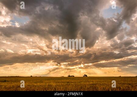 Paesaggio di cielo nuvoloso al tramonto con raggi di sole dentro le nuvole dopo il temporale su campo di grano Foto Stock