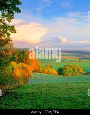 Regno Unito, Inghilterra, Cheshire, gelido paesaggio autunnale da Primrose Hill Foto Stock