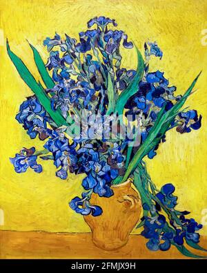 Iris, Vincent van Gogh, 1890, olio su tela, Foto Stock
