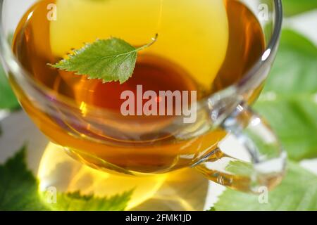 Tè verde in una tazza di vetro con foglia di betulla. Foglie su un tavolo bianco intorno a una tazza con una bevanda. Foto Stock