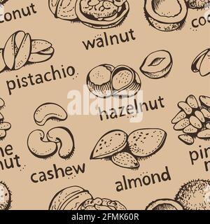 NUTS Set vettoriale modello senza giunture, vari NUTS sfondo disegnato a mano Illustrazione Vettoriale