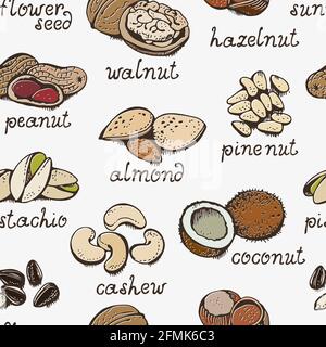 NUTS Set vettoriale modello senza giunture, vari NUTS sfondo disegnato a mano Illustrazione Vettoriale