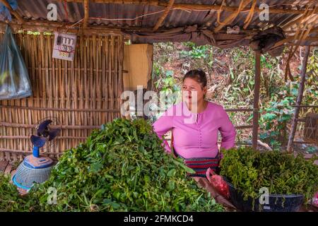 Stallholder femminile in una tipica bancarella locale di mercato alimentare, Pong Song, Ban Keng Kang, un villaggio vicino a Vang Vieng, provincia Vientiane, Laos Foto Stock