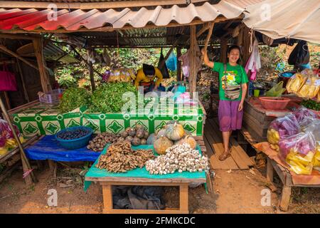 Sorridente stallholder in una tipica bancarella di cibo locale a Pong Song, Ban Keng Kang, un villaggio vicino a Vang Vieng, provincia Vientiane, Laos Foto Stock