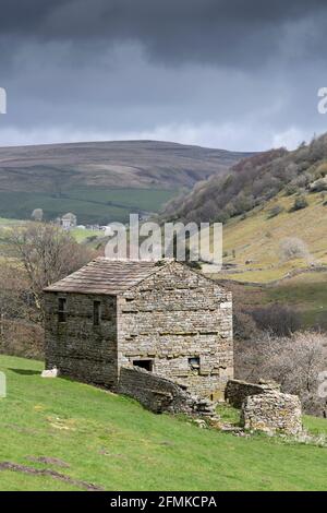 Fienile campo di pietra vicino Thwaite, Swaledale. Tradizionalmente immagazzinerebbe il fieno dentro e il bestiame sarebbe overwintered in loro. Yorkshire Dales National Park, Foto Stock