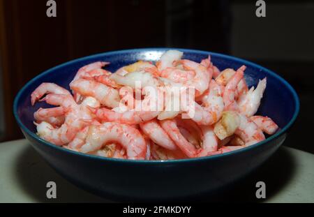 Ciotola blu con gamberetti sbucciati bolliti Foto Stock